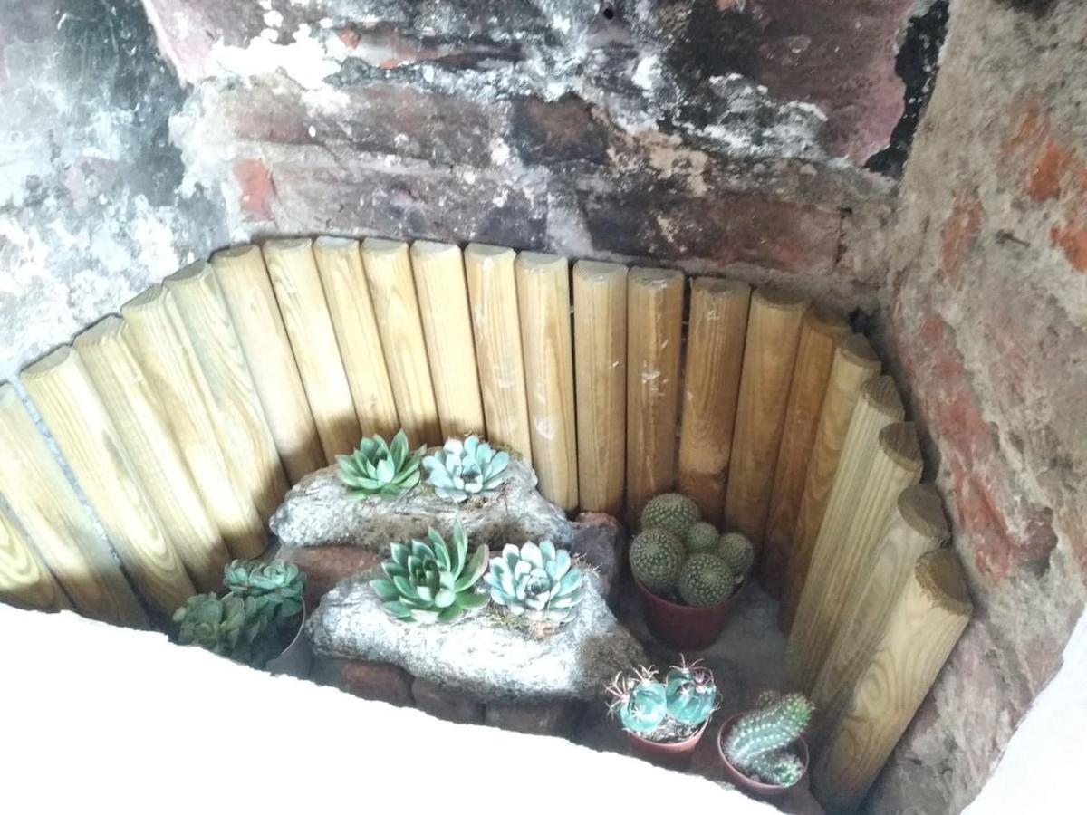 Apartamento Mansarda al Valentino Turín Exterior foto